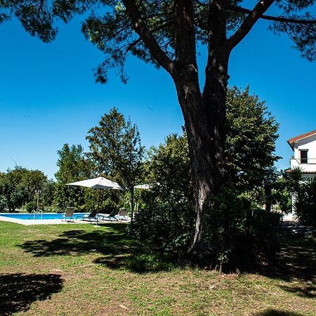 Terre Etrusche Guest House-Terme -3 Minuti Da Viterbo Centro エクステリア 写真