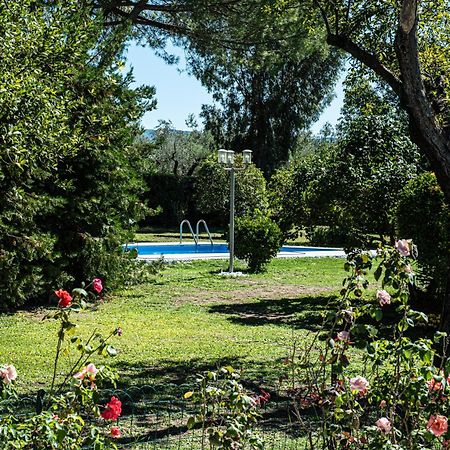 Terre Etrusche Guest House-Terme -3 Minuti Da Viterbo Centro エクステリア 写真