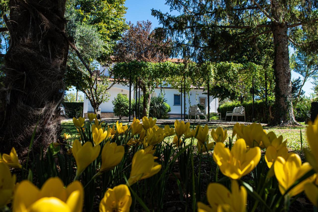 Terre Etrusche Guest House-Terme -3 Minuti Da Viterbo Centro エクステリア 写真