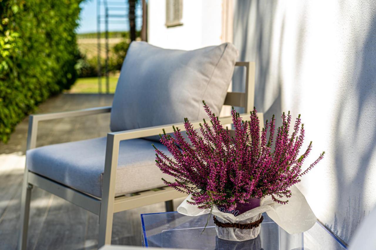 Terre Etrusche Guest House-Terme -3 Minuti Da Viterbo Centro エクステリア 写真