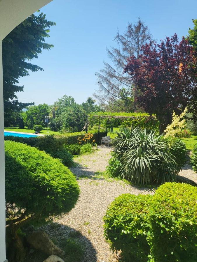 Terre Etrusche Guest House-Terme -3 Minuti Da Viterbo Centro エクステリア 写真