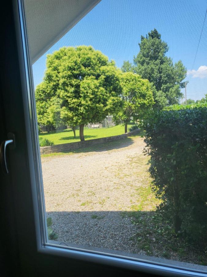 Terre Etrusche Guest House-Terme -3 Minuti Da Viterbo Centro エクステリア 写真
